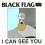 BLACK FLAG - I Can See You