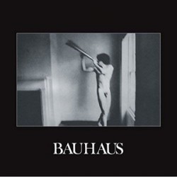 BAUHAUS - In The Flat Field (bronze Limi