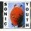 SONIC YOUTH - Dirty -15 Tr.-