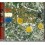 STONE ROSES THE - The Stone Roses (20th Anniversary Special Edition)