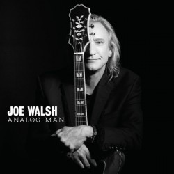 WALSH JOE - Analog Man