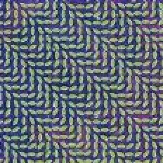 ANIMAL COLLECTIVE - Merriweather Post Pavillion