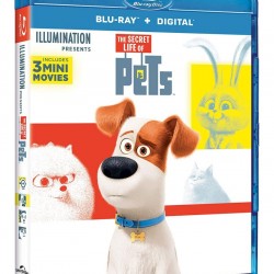 Pets 1