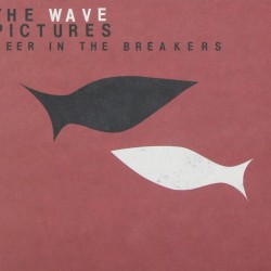 WAVE PICTURES THE - Beer In The Breakers