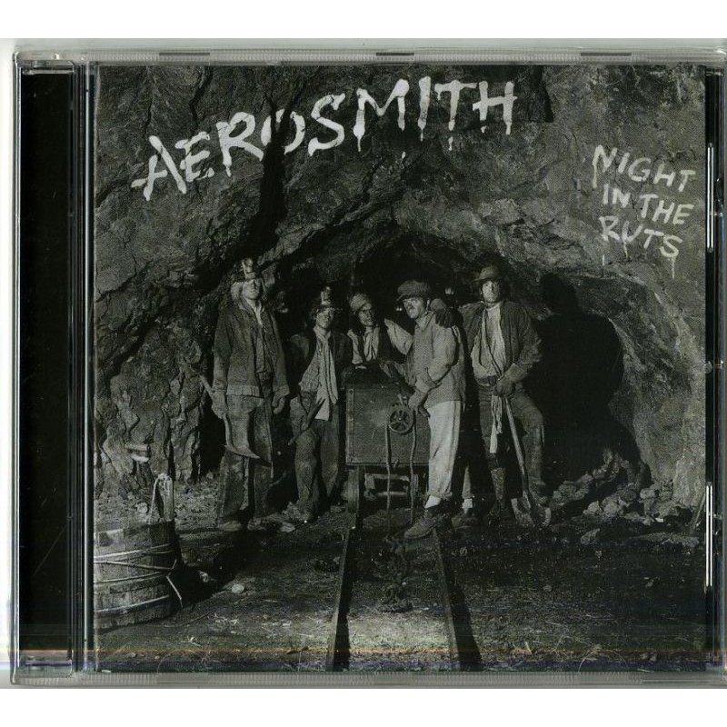 aerosmith night in the ruts