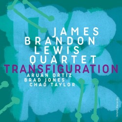 BRANDON JAMES LEWIS - Transfiguration