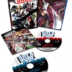 High School Of The Dead - La Serie Completa